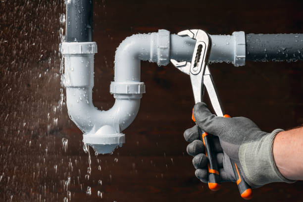Professional Plumbing technician working in Ellendale, DE
